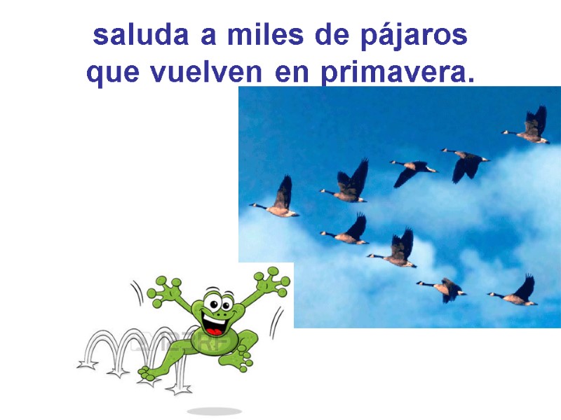 saluda a miles de pájaros que vuelven en primavera.